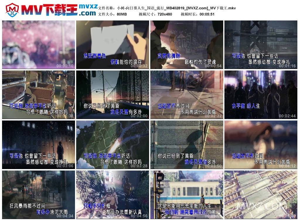 小树-向日葵人生_国语_流行_MB402819